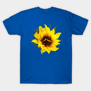 Sunflowers - Puzzled Sunflower T-Shirt